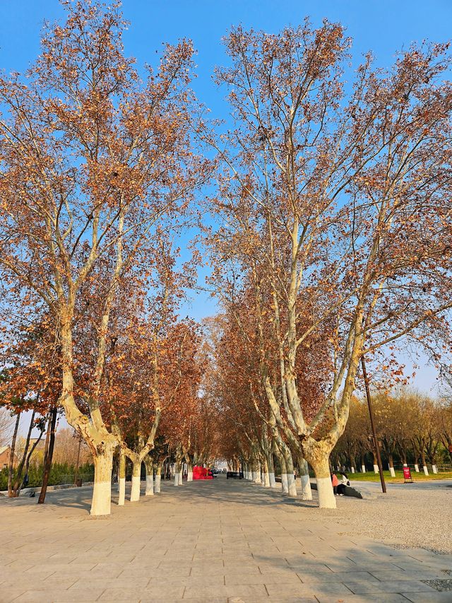 漢風起兮城 長安未央宮 漢風起兮城 長安未央宮