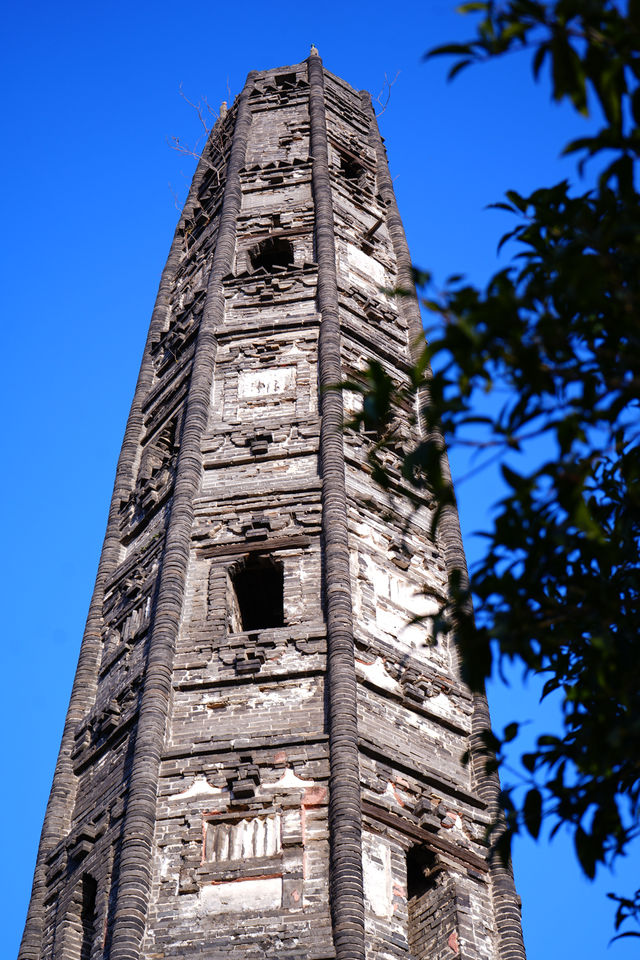 上海|秋冬這裡簡直太美了吧! 上海|秋冬這裡簡直太美了吧!