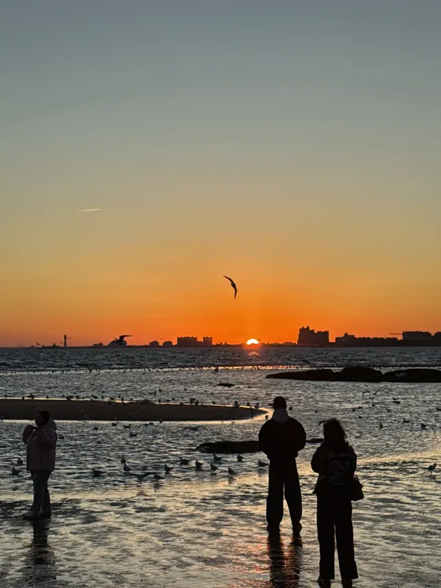 日落，是天空寫給秦皇島的溫柔啊