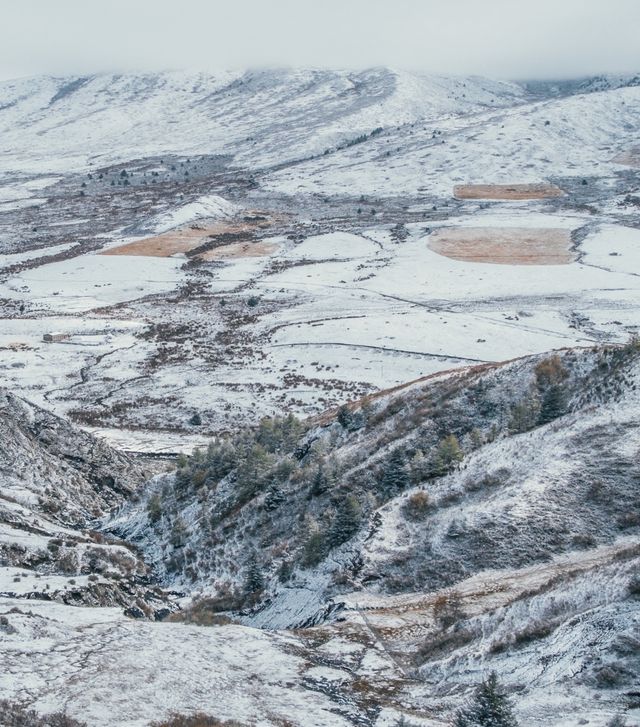自駕川西一場大雪,川西有了冬日氛圍 自駕川西一場大雪,川西有了冬日氛圍