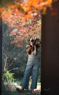 發現了！魔都市區能獨攬銀杏樹的小眾秘境！