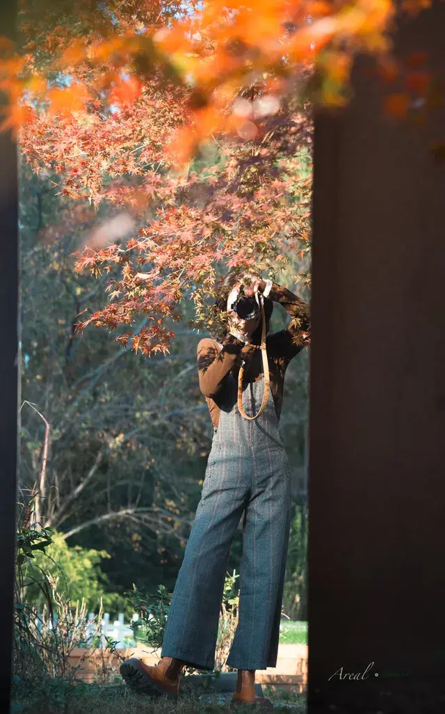 發現了！魔都市區能獨攬銀杏樹的小眾秘境！