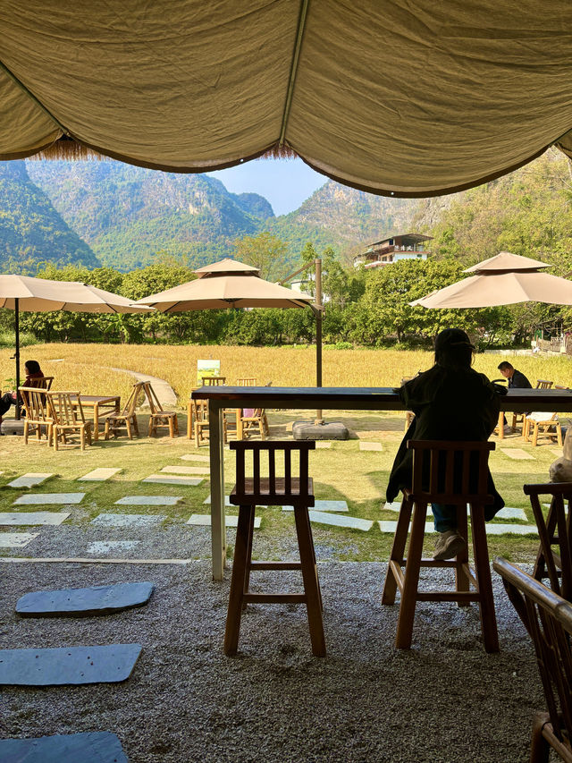 風吹麥浪 小紅書跟風最成功的一次好chill 風吹麥浪 小紅書跟風最成功的一次好chill