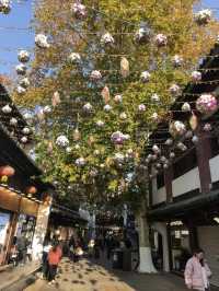 銀杏樹下邂逅金陵城