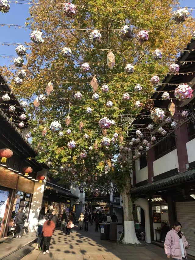 銀杏樹下邂逅金陵城 銀杏樹下邂逅金陵城