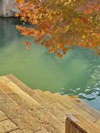 濮院賞秋地圖|拍出明星同款大片!