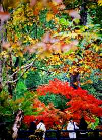 秋日來信,魔都私藏了一座油畫森林!|共青尋色指南