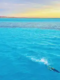 別問了!!是埃及!!不是馬爾代夫