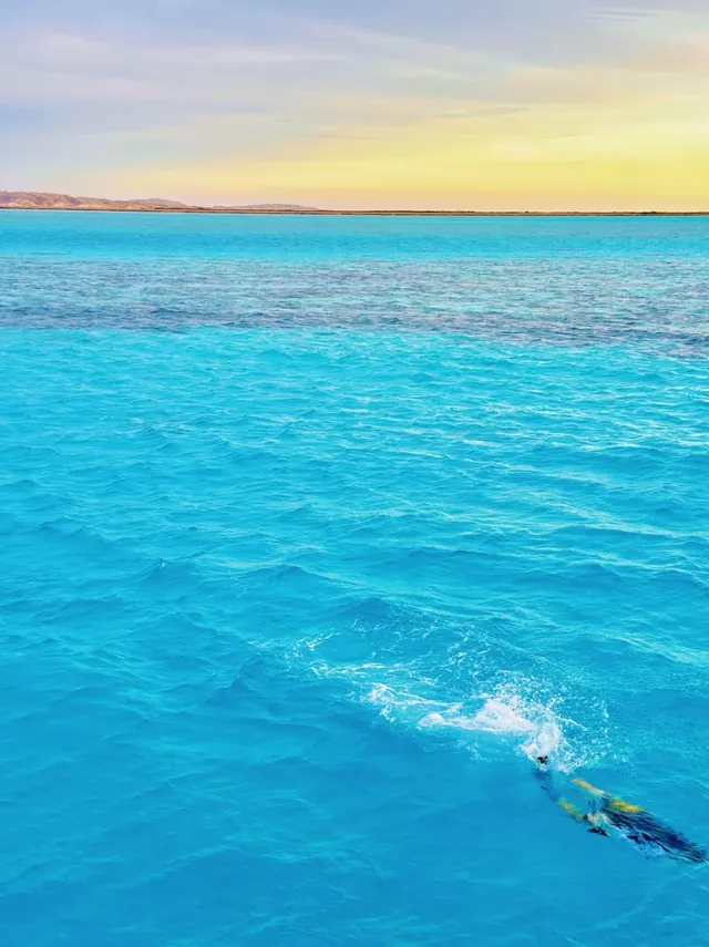 別問了!!是埃及!!不是馬爾代夫 別問了!!是埃及!!不是馬爾代夫