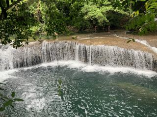 Efate Island Green Wilderness Exploration