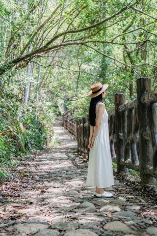 I discovered another hidden gem in Wuyishan: Tongmu Pass.