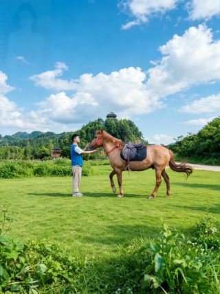 Guizhou Secret Realm | A Horse Racing Paradise Hidden Deep in the Mountains�Ü