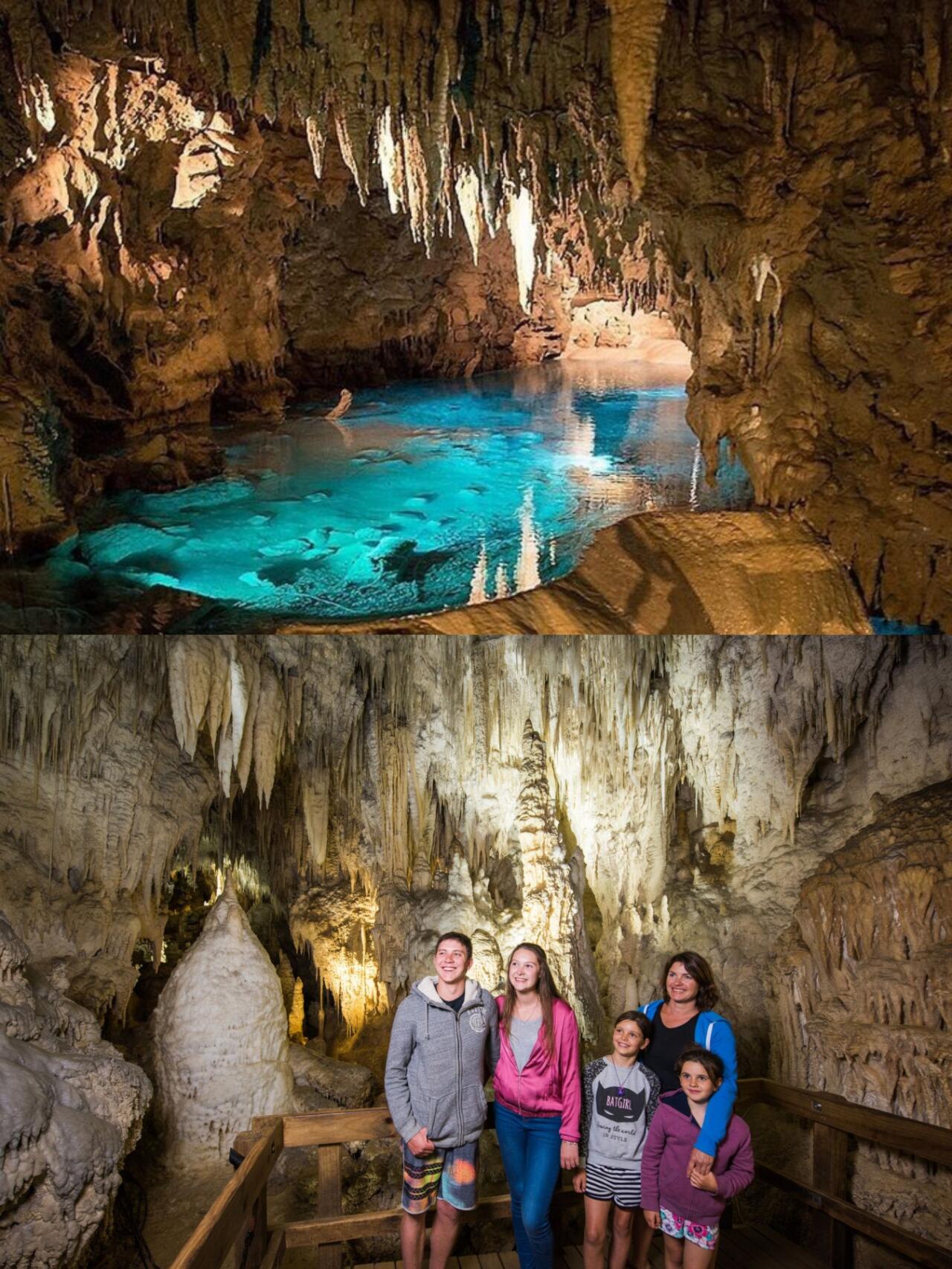 Absolutely love this attraction! Right at Waitomo Caves, New Zealand