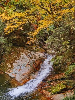 ภูเขากวงอู่ สถานที่ท่องเที่ยวยอดนิยมในฤดูใบไม้ร่วงของมณฑลเสฉวน (ตอนที่ 2)