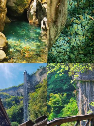 盛夏高溫躲不開？那就躲進山谷裡乘涼