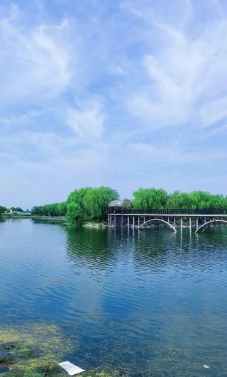 莒縣沭河濕地公園遊玩手記