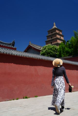 A Slow Walk Through Chang'an in Summer: A Pagoda, Half of the History of the Tang Dynasty