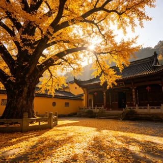 Escape to Jiuhua Mountain for a two-day getaway from Wuhu!