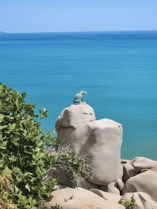 Multi-country tour in South Africa and more: A travel party perfect for friends