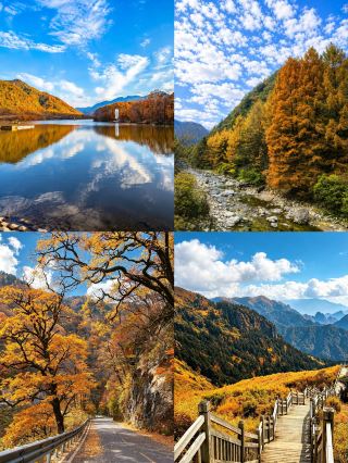 No need to travel all the way to the Northwest—fly direct from Guangzhou/Shenzhen to Shennongjia for 600+ and chase the colorful mountain forests