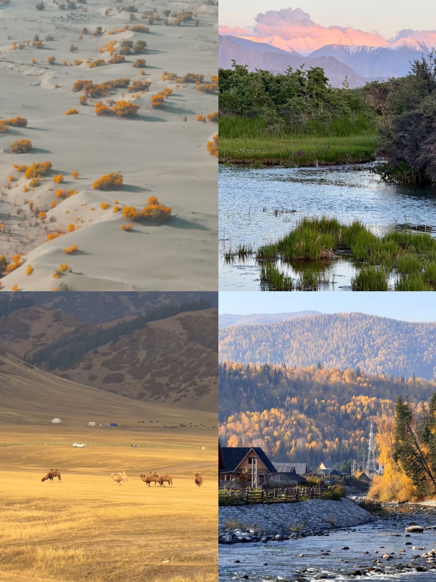 9-day Xinjiang vacation: North or South? This guide helps you decide
