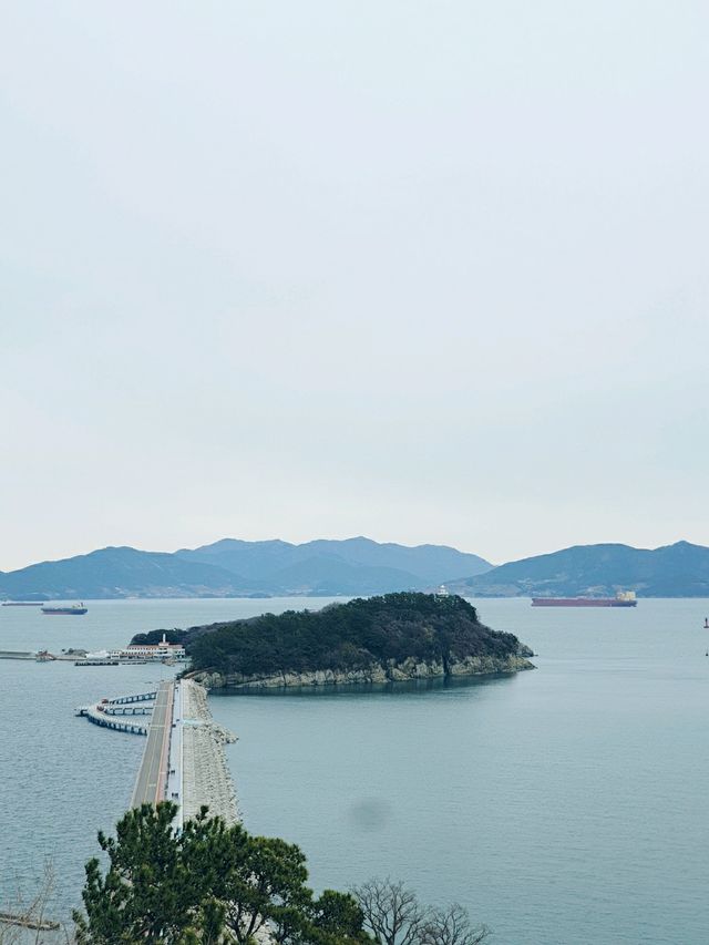 동백섬 오동도 💐