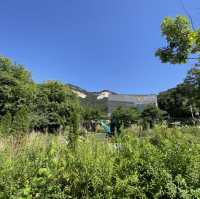 불암산뷰 식물원카페, 카페 포레스트⛰️