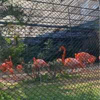 👨‍👩‍👧‍👦親子好去處-動植物公園