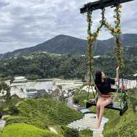 CAMERON HIGHLAND BEST AGRICULTURAL HILLSIDE 