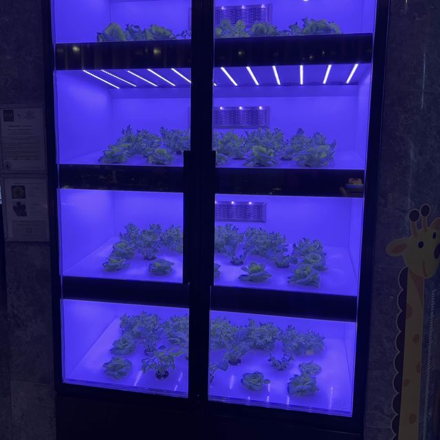 紀念日慶祝