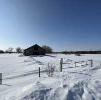 【北海道】冬季限定！十勝牧場の馬追