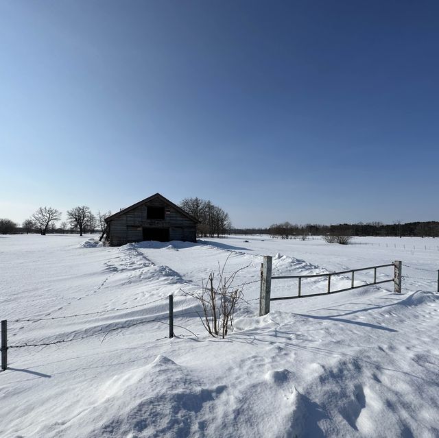 【北海道】冬季限定！十勝牧場の馬追
