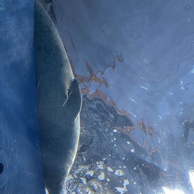 Xpark Aquarium in Taoyuan