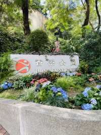 一次過欣賞各色各樣花卉  在市中心盛放📍香港公園