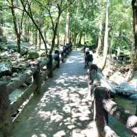 Namtok Saikhao National Park