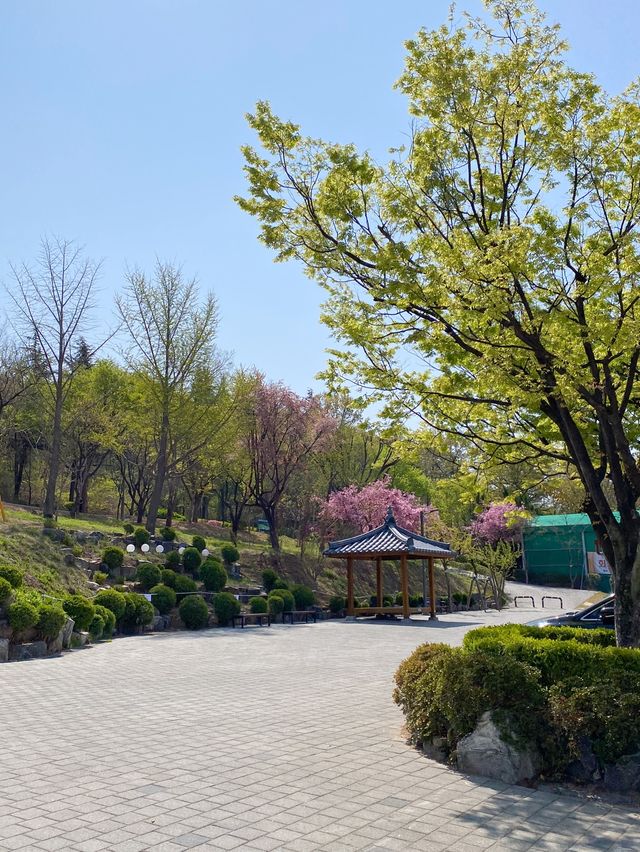 대구에서 제일 예뻤던 돌계단 🌸🪜 