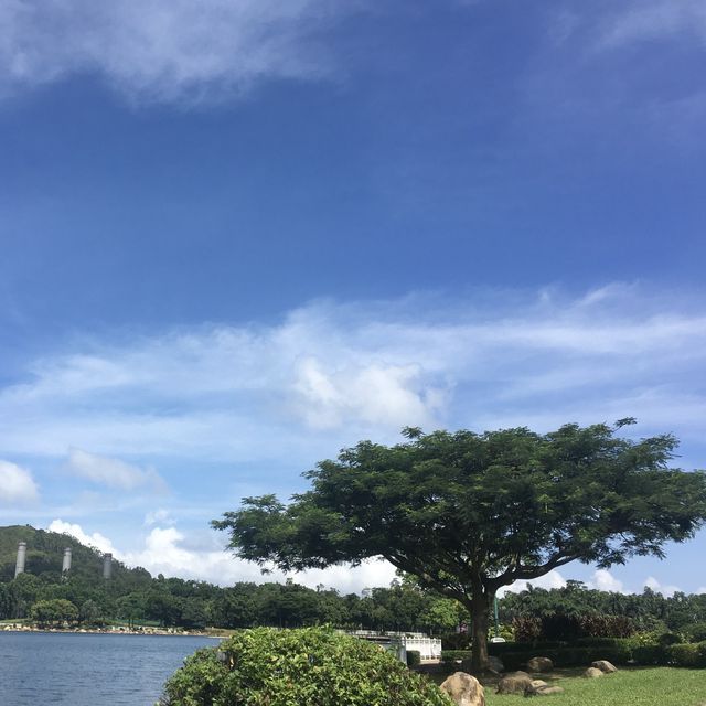 野餐🧺首選——迪欣湖