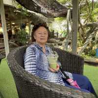 ดิ โอโซน คาเฟ่คลายร้อน ที่บางกระเจ้า