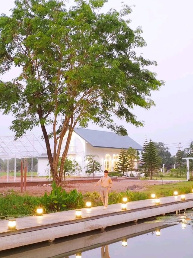 🌳🌈 พาเช็คอิน #คาเฟ่เปิดใหม่ พิกัดนครนายก