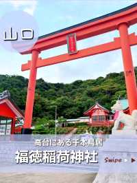 【山口】絶景スポットがある！福徳稲荷神社