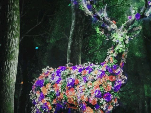 沉浸式視覺藝術展覽