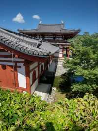 【京都】平等院を散策