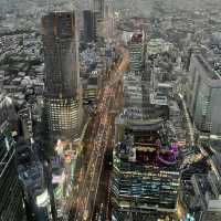 東京世界第一高塔！
