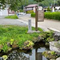 【ペットとお出かけ】忍野八海を散策！