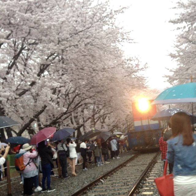 Gyeonghwa Train Station in Jinhae