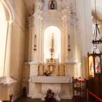 Saint Dominic's Church Nature 