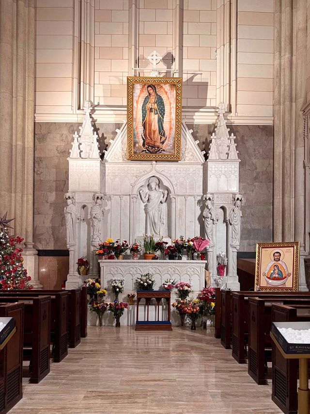 Divine Design:St Patrick’s & St Mary’s Shrine
