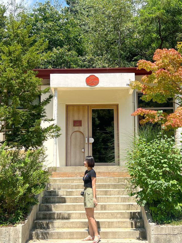 춘천 폐교를 카페로 바꾼 오월학교💛