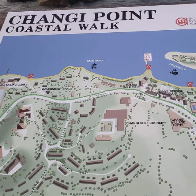 🎉 樟宜木板路 🌊 海濱步道 🏖