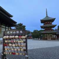 成田表參道的亮點！走到到底就是成田新勝寺⛩️